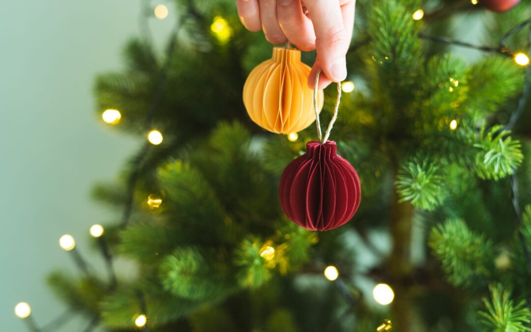 Natale sostenibile: a Roma il presepe della biodiversità e l’albero di Natalericiclato – Ohga  19/12/2023