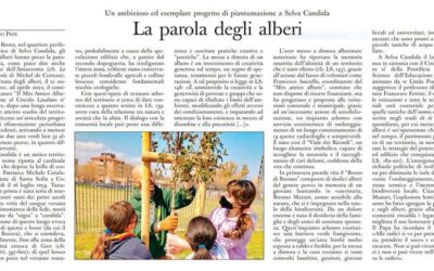 La parola degli alberi – L’Osservatore Romano 6/06/2022