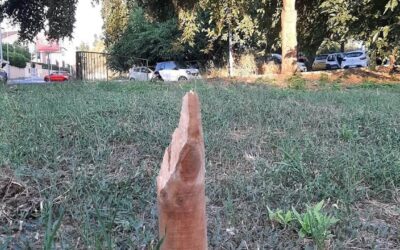 Poggio delle Corti, attacco vandalico all’area verde: “Gesto inqualificabile” – RomaToday 3/08/2023