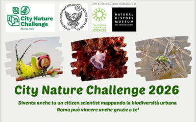Roma in gara per la biodiversità: parte la City Nature Challenge 2026 dal 24 al 27 aprile