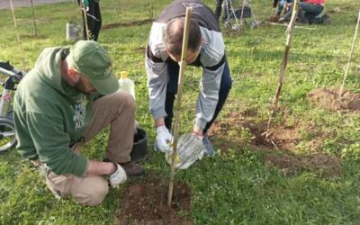 “Silva Nigra” fra i progetti ambientali migliori d’Italia – RomaToday 9/04/2026