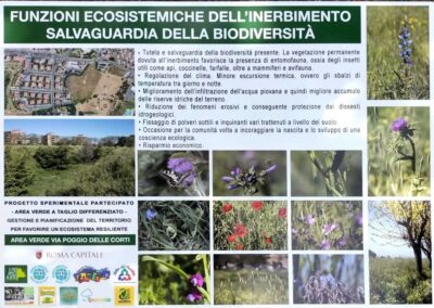 FUNZIONI ECOSISTEMICHE DELL’INERBIMENTO