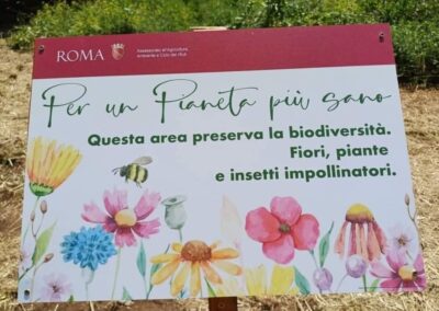 FUNZIONI ECOSISTEMICHE DELL’INERBIMENTO
